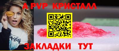 крисы Гагарин