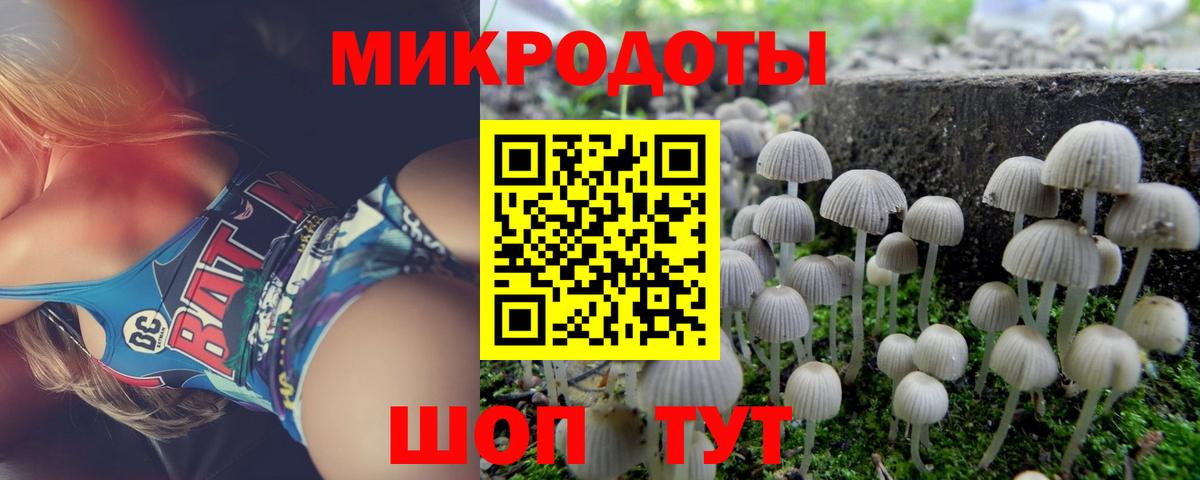 Галлюциногенные грибы Psilocybine cubensis Нижневартовск