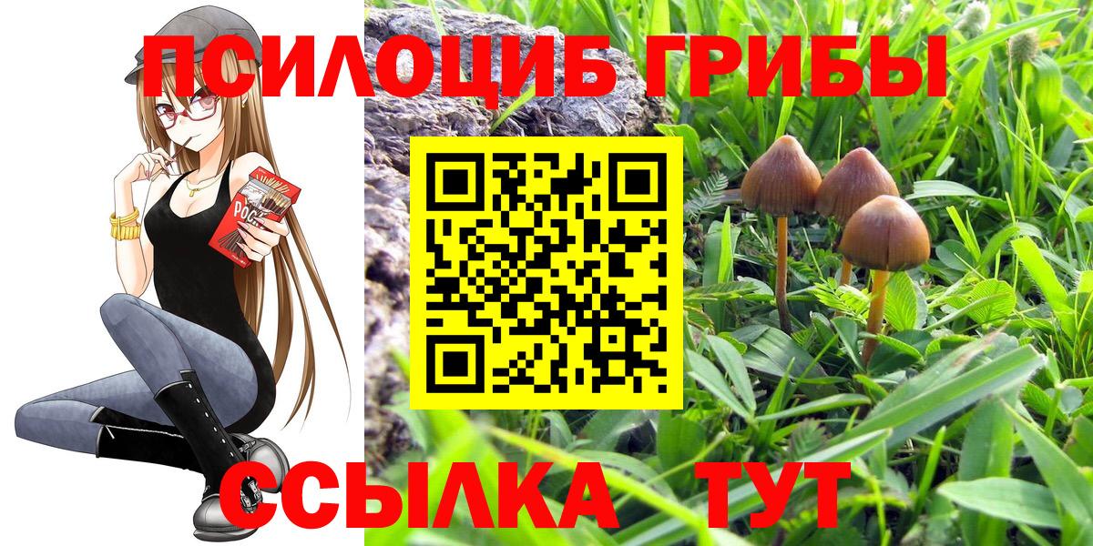 где купить наркоту  Вход с VPN  Нижневартовск  Галлюциногенные грибы Cubensis  Галлюциногенные грибы ЛСД 